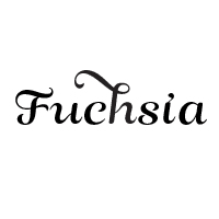 Fuchsia typeface
